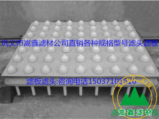 �V�^���V��